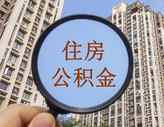 哈密退休后查不到公积金明细了吗（退休后公积金查询不到原因）